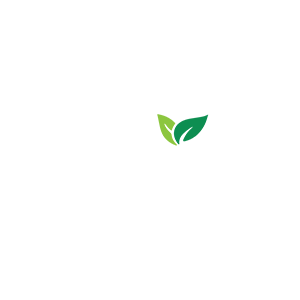 RESTAURACJA MAJOWA